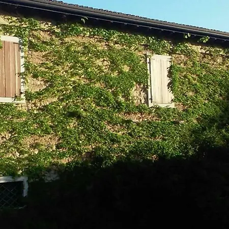 Farm stay Borgo Machetto *